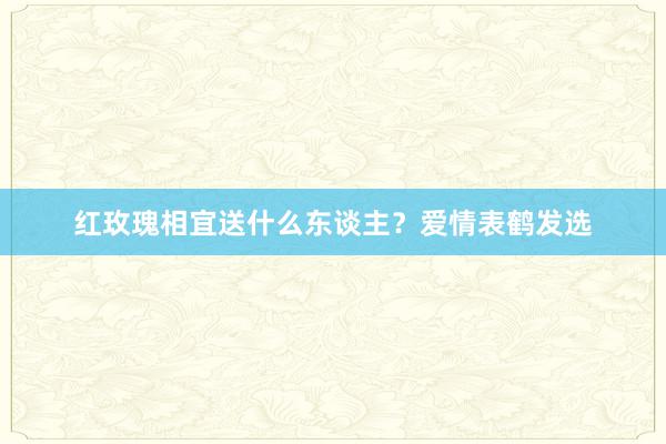 红玫瑰相宜送什么东谈主？爱情表鹤发选